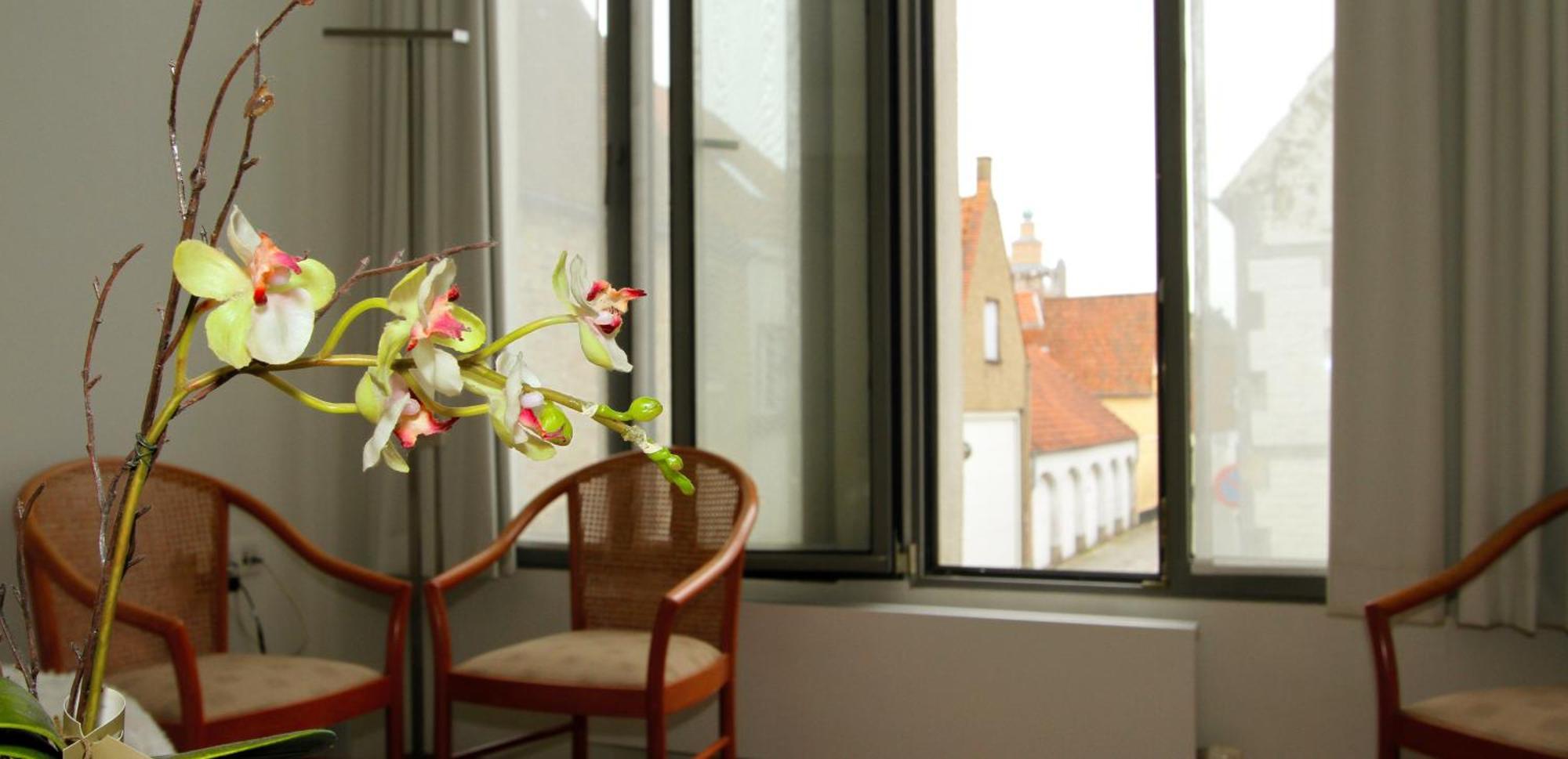 B&B 'T Walleke Brugge Dış mekan fotoğraf
