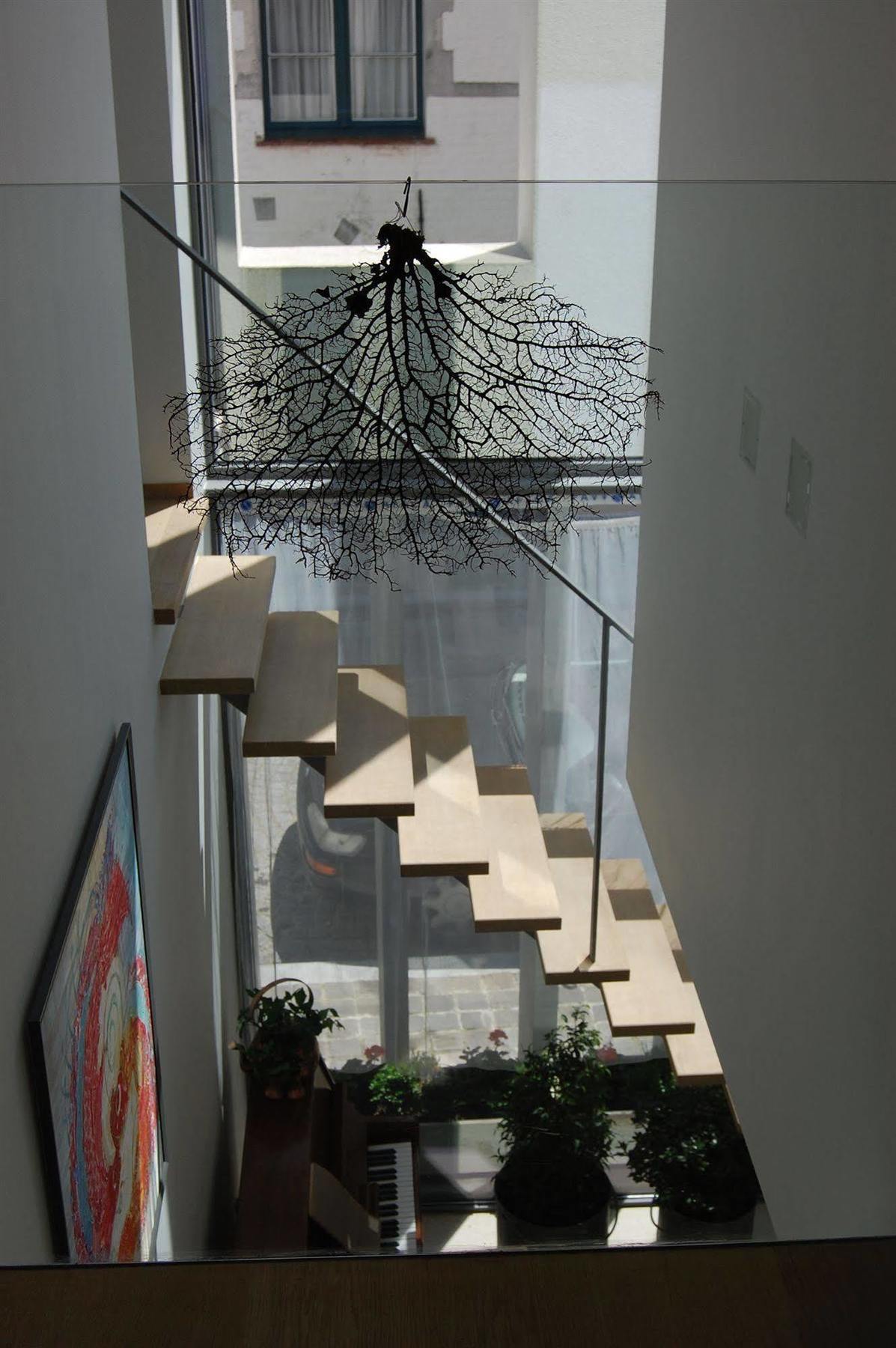 B&B 'T Walleke Brugge Dış mekan fotoğraf